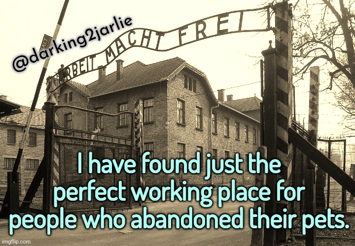 Believe me it'll be a breathtaking experience | @darking2jarlie; I have found just the perfect working place for people who abandoned their pets. | image tagged in animals,animal rights,pets,concentration camp,assholes,memes | made w/ Imgflip meme maker