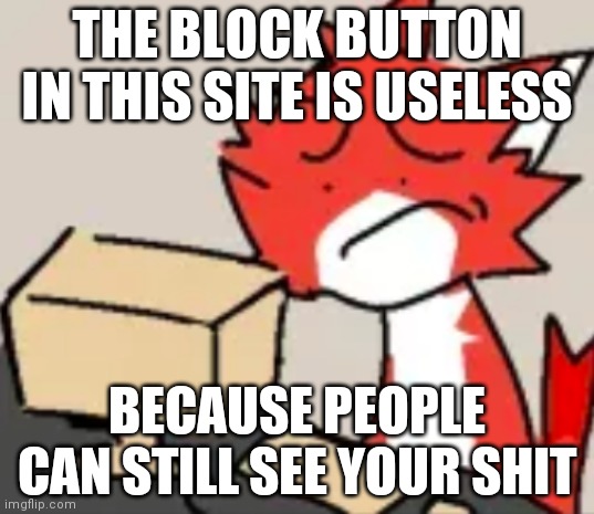 distraught | THE BLOCK BUTTON IN THIS SITE IS USELESS; BECAUSE PEOPLE CAN STILL SEE YOUR SHIT | image tagged in distraught | made w/ Imgflip meme maker