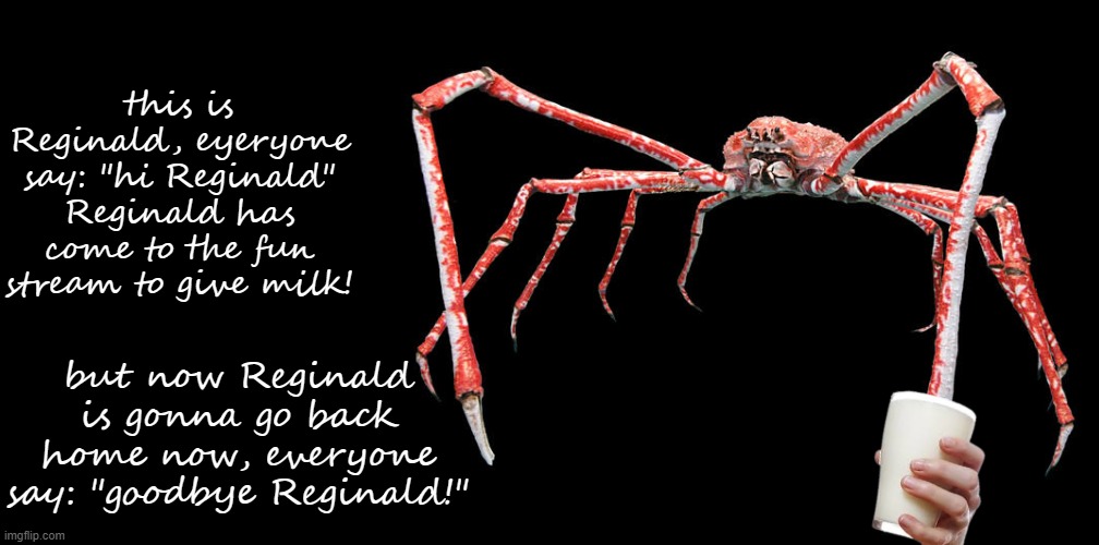 hi | this is Reginald, eyeryone
say: "hi Reginald"
Reginald has come to the fun stream to give milk! but now Reginald is gonna go back home now, everyone say: "goodbye Reginald!" | image tagged in reginald,memes,image,funny | made w/ Imgflip meme maker