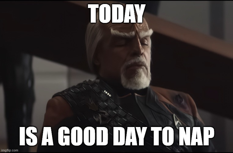 Today is a good day to nap... | TODAY; IS A GOOD DAY TO NAP | image tagged in star trek,worf,nap,lieutenant worf | made w/ Imgflip meme maker
