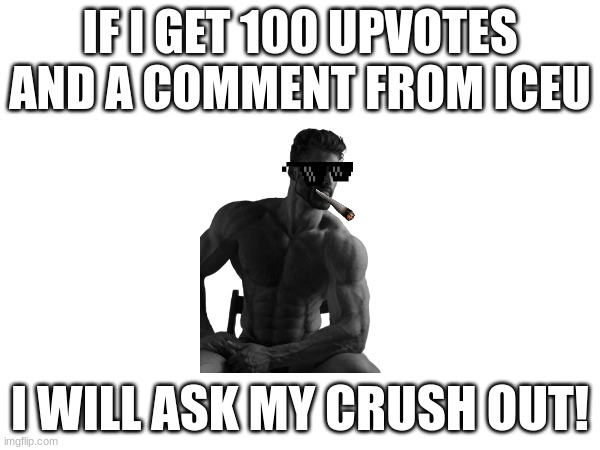 UPvote for me to do this or ignore for furry rights | IF I GET 100 UPVOTES AND A COMMENT FROM ICEU; I WILL ASK MY CRUSH OUT! | made w/ Imgflip meme maker
