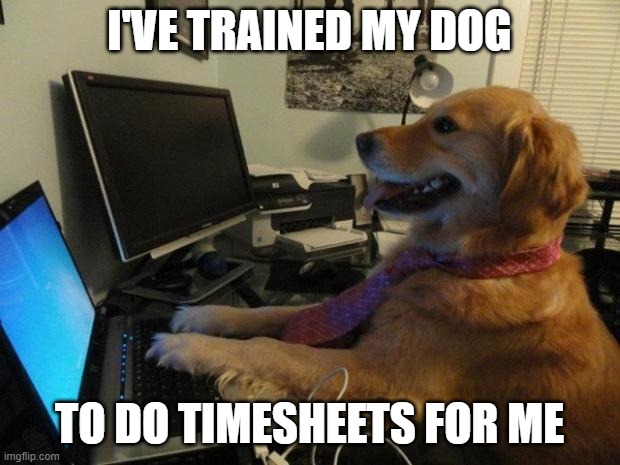 Timesheets | I'VE TRAINED MY DOG; TO DO TIMESHEETS FOR ME | image tagged in dog behind a computer | made w/ Imgflip meme maker