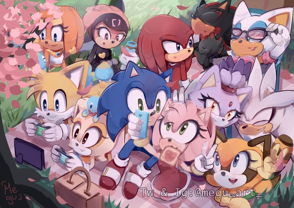 Sonic & Friends Picnic Poster by Cometshina Fanart DeviantArt Blank Meme Template