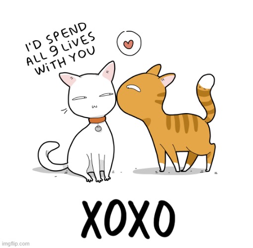 A Cat's Way Of Thinking | image tagged in memes,comics/cartoons,cats,nine lives,in love,you and i are not so diffrent | made w/ Imgflip meme maker