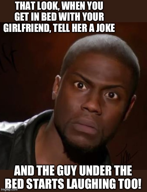 That look | THAT LOOK, WHEN YOU GET IN BED WITH YOUR GIRLFRIEND, TELL HER A JOKE; AND THE GUY UNDER THE BED STARTS LAUGHING TOO! | image tagged in that look you give | made w/ Imgflip meme maker