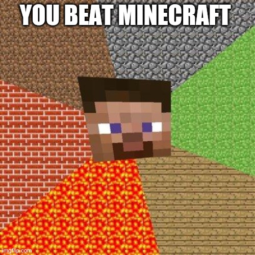Yes | YOU BEAT MINECRAFT | image tagged in minecraft steve | made w/ Imgflip meme maker