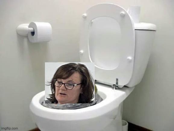 Flush Hillary | image tagged in flush hillary | made w/ Imgflip meme maker
