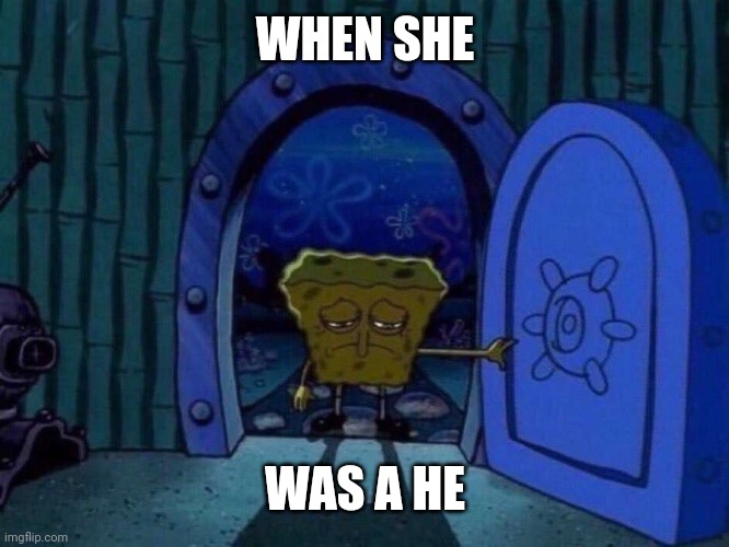 sad spongebob at door | WHEN SHE WAS A HE | image tagged in sad spongebob at door | made w/ Imgflip meme maker