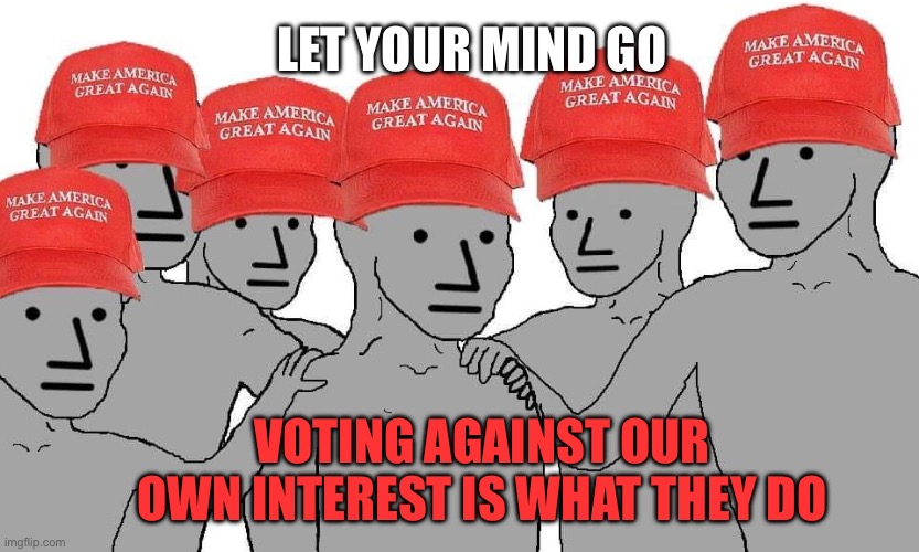 MAGA NPC | VOTING AGAINST OUR OWN INTEREST IS WHAT THEY DO LET YOUR MIND GO | image tagged in maga npc | made w/ Imgflip meme maker
