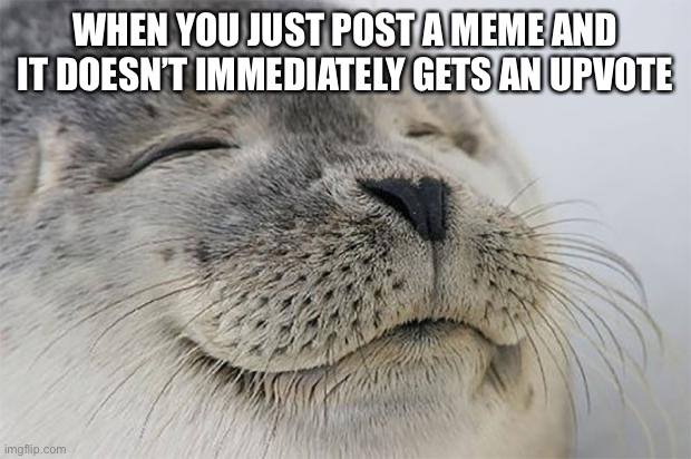 Satisfied Seal | WHEN YOU JUST POST A MEME AND IT DOESN’T IMMEDIATELY GETS AN UPVOTE | image tagged in memes,satisfied seal | made w/ Imgflip meme maker