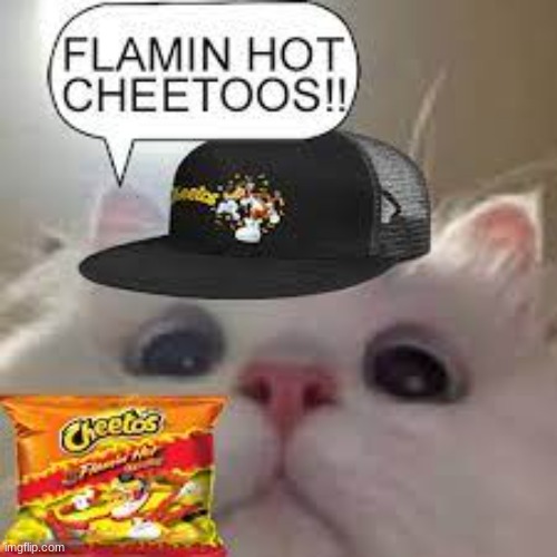 flamin chetoes | image tagged in flaming chetoes | made w/ Imgflip meme maker