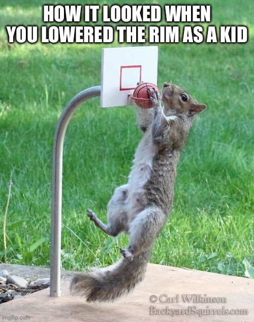 Squirrel basketball | HOW IT LOOKED WHEN YOU LOWERED THE RIM AS A KID | image tagged in squirrel basketball | made w/ Imgflip meme maker