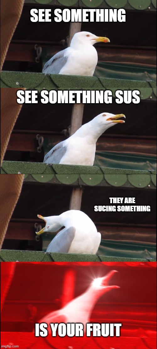 Inhaling Seagull | SEE SOMETHING; SEE SOMETHING SUS; THEY ARE SUCING SOMETHING; IS YOUR FRUIT | image tagged in memes,inhaling seagull | made w/ Imgflip meme maker