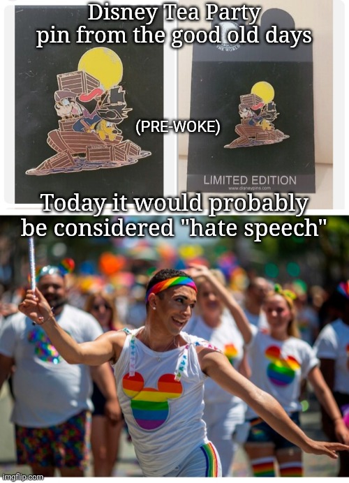 Get Woke Go Broke | Disney Tea Party pin from the good old days; (PRE-WOKE); Today it would probably be considered "hate speech" | image tagged in libtards,finished,vote trump | made w/ Imgflip meme maker