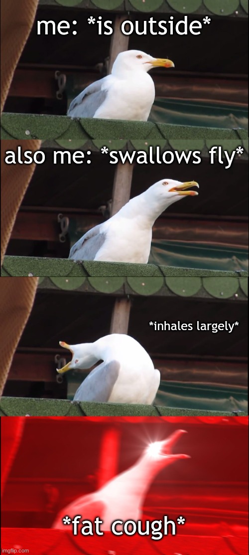 I hate when this happens | me: *is outside*; also me: *swallows fly*; *inhales largely*; *fat cough* | image tagged in memes,inhaling seagull | made w/ Imgflip meme maker