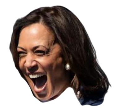 High Quality Kamala Blank Meme Template