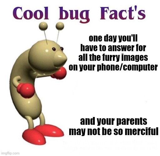 (Wasn't sure whether to approve or disapprove this but then i saw who made it - Filius) | one day you'll have to answer for all the furry images on your phone/computer; and your parents may not be so merciful | image tagged in cool bug facts | made w/ Imgflip meme maker