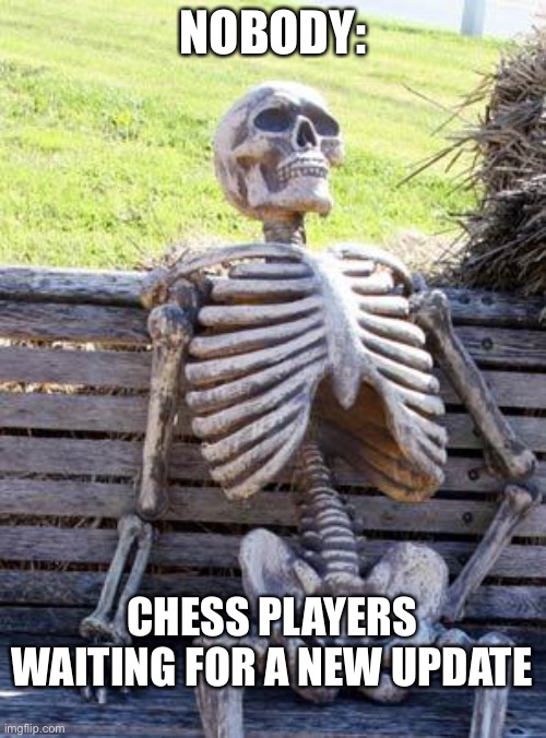 Waiting Skeleton | NOBODY:; CHESS PLAYERS WAITING FOR A NEW UPDATE | image tagged in memes,waiting skeleton,chess,games | made w/ Imgflip meme maker