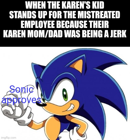 Sonic The Hedgehog Approves | WHEN THE KAREN'S KID STANDS UP FOR THE MISTREATED EMPLOYEE BECAUSE THEIR KAREN MOM/DAD WAS BEING A JERK; Sonic approves | image tagged in sonic the hedgehog approves | made w/ Imgflip meme maker