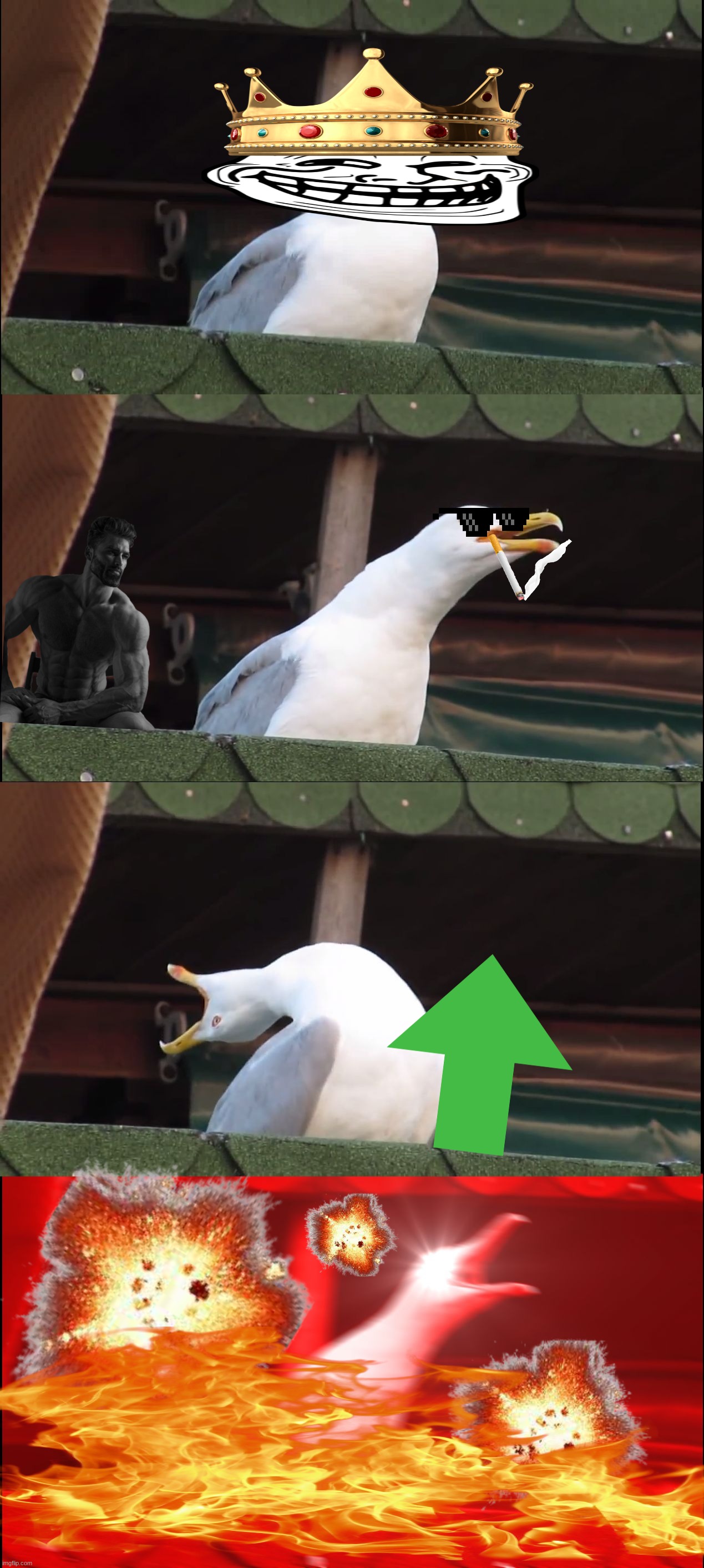 What did I just make? | image tagged in memes,inhaling seagull | made w/ Imgflip meme maker