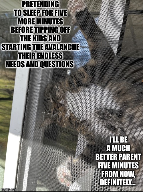 Relatable Cat | PRETENDING TO SLEEP FOR FIVE MORE MINUTES BEFORE TIPPING OFF THE KIDS AND STARTING THE AVALANCHE THEIR ENDLESS NEEDS AND QUESTIONS; I’LL BE A MUCH BETTER PARENT FIVE MINUTES FROM NOW, DEFINITELY… | image tagged in funny memes,funny cat memes,cats,kids,parenting | made w/ Imgflip meme maker