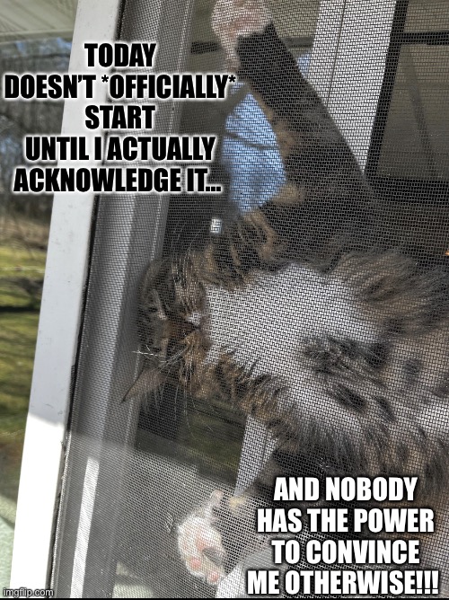 Relatable Cat | TODAY DOESN’T *OFFICIALLY* START UNTIL I ACTUALLY ACKNOWLEDGE IT…; AND NOBODY HAS THE POWER TO CONVINCE ME OTHERWISE!!! | image tagged in funny,cat,cute cat,funny cat memes,cat memes,sleepy cat | made w/ Imgflip meme maker