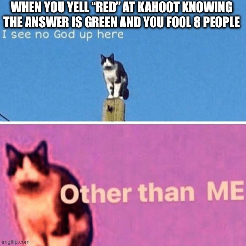 Hail pole cat | WHEN YOU YELL “RED” AT KAHOOT KNOWING THE ANSWER IS GREEN AND YOU FOOL 8 PEOPLE | image tagged in hail pole cat | made w/ Imgflip meme maker