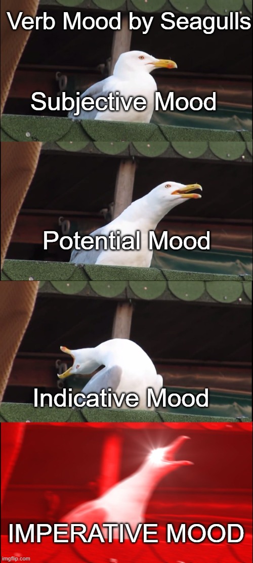 Inhaling Seagull Meme | Verb Mood by Seagulls; Subjective Mood; Potential Mood; Indicative Mood; IMPERATIVE MOOD | image tagged in memes,inhaling seagull | made w/ Imgflip meme maker