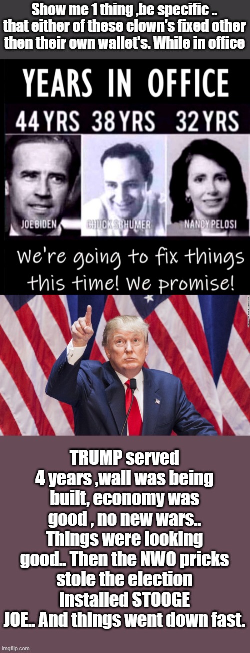 You can call um SCUMrats you can call um DEMrats  or you can call um TRAITORratsrats | Show me 1 thing ,be specific .. that either of these clown's fixed other then their own wallet's. While in office; TRUMP served 4 years ,wall was being built, economy was good , no new wars.. Things were looking good.. Then the NWO pricks stole the election installed STOOGE JOE.. And things went down fast. | image tagged in democrats,nwo,traitors | made w/ Imgflip meme maker