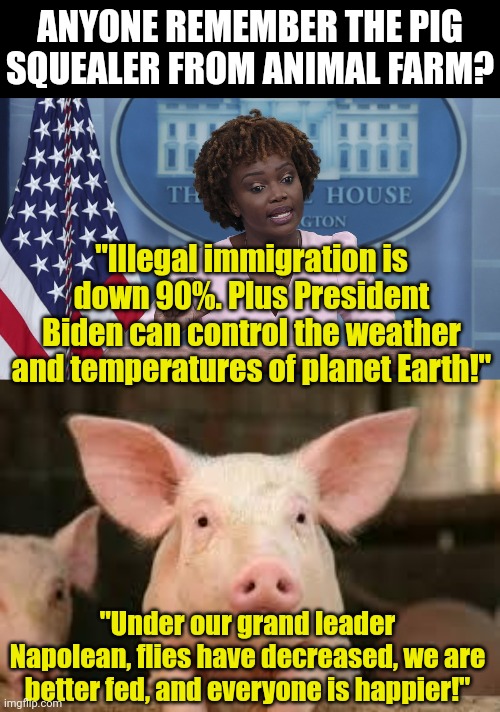 Well the Democrats are so crazy, we've skipped 1984 and are now moving into Animal Farm jokes? | ANYONE REMEMBER THE PIG SQUEALER FROM ANIMAL FARM? "Illegal immigration is down 90%. Plus President Biden can control the weather and temperatures of planet Earth!"; "Under our grand leader Napolean, flies have decreased, we are better fed, and everyone is happier!" | image tagged in karine jean pierre,pig,animal farm,liberal logic,hypocrites,mainstream media | made w/ Imgflip meme maker