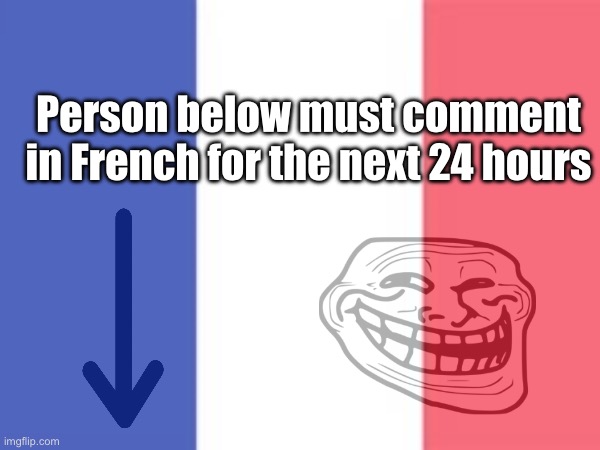 Person below must comment in French for the next 24 hours | made w/ Imgflip meme maker