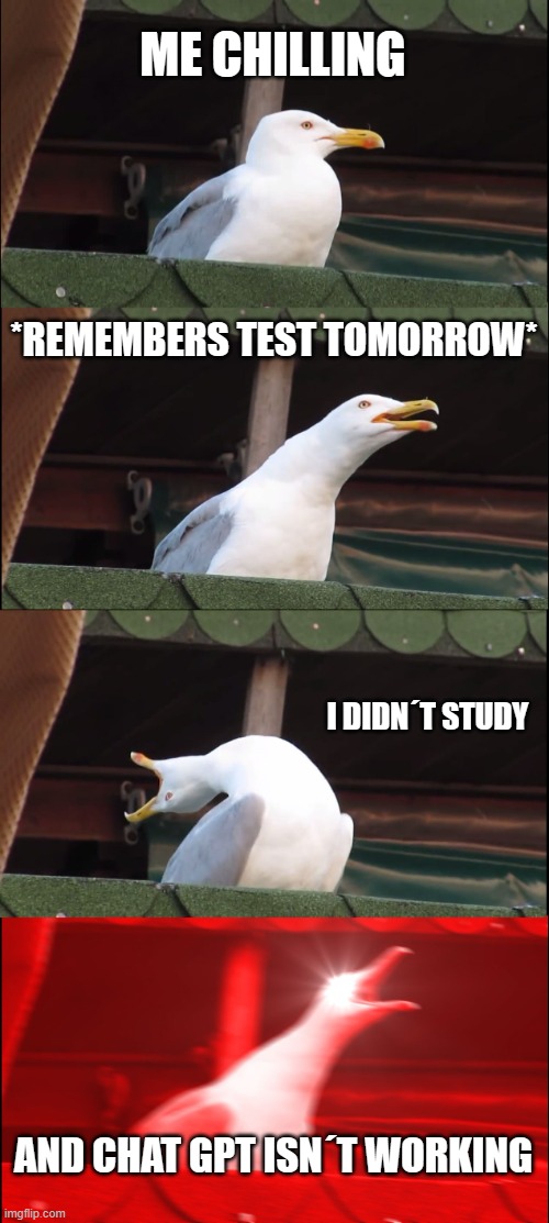Todays society | ME CHILLING; *REMEMBERS TEST TOMORROW*; I DIDN´T STUDY; AND CHAT GPT ISN´T WORKING | image tagged in memes,inhaling seagull,aint nobody got time for that | made w/ Imgflip meme maker