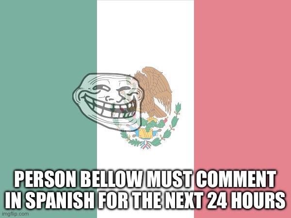 PERSON BELLOW MUST COMMENT IN SPANISH FOR THE NEXT 24 HOURS | made w/ Imgflip meme maker