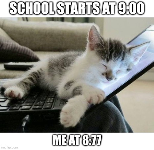 *snore* mimimimimi *snore* mimimimi | SCHOOL STARTS AT 9:00; ME AT 8:77 | image tagged in cat sleep computer | made w/ Imgflip meme maker