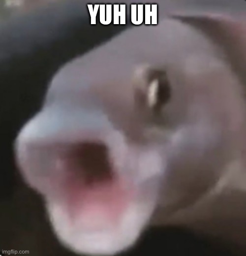 Poggers Fish | YUH UH | image tagged in poggers fish | made w/ Imgflip meme maker