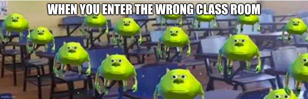 WHEN YOU ENTER THE WRONG CLASS ROOM | image tagged in memes | made w/ Imgflip meme maker