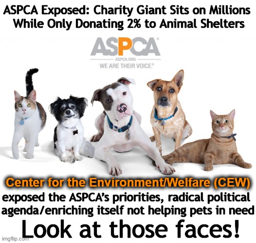 No words for the disgust I feel for people who prioritize money over lives (human or animal)... | image tagged in politics,aspca,agenda,radical,charity,dr fauci approves | made w/ Imgflip meme maker