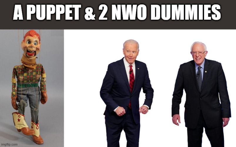 WHO pulls the Dummies strings ? | A PUPPET & 2 NWO DUMMIES | image tagged in democrats,nwo,for dummies | made w/ Imgflip meme maker