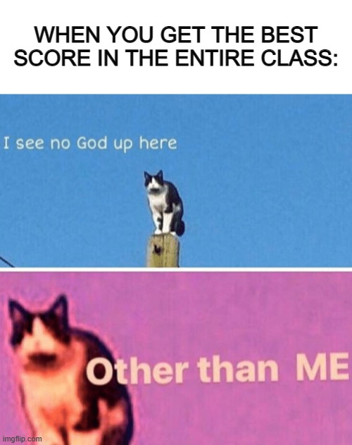 Smart B] | WHEN YOU GET THE BEST SCORE IN THE ENTIRE CLASS: | image tagged in blank white template,hail pole cat | made w/ Imgflip meme maker