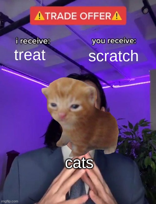 meow | treat; scratch; cats | image tagged in trade offer,memes,funny | made w/ Imgflip meme maker