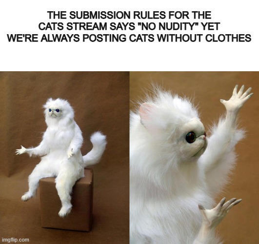 We've been breaking the rules for eternity now... | THE SUBMISSION RULES FOR THE CATS STREAM SAYS "NO NUDITY" YET WE'RE ALWAYS POSTING CATS WITHOUT CLOTHES | image tagged in blank white template,memes,persian cat room guardian | made w/ Imgflip meme maker