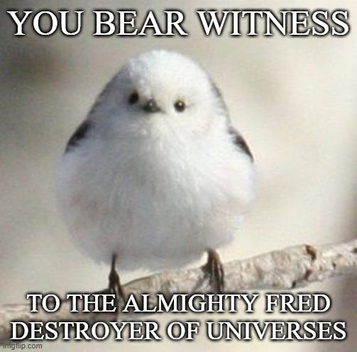 fancy text for a fancy bird | YOU BEAR WITNESS; TO THE ALMIGHTY FRED DESTROYER OF UNIVERSES | image tagged in long tailed tit | made w/ Imgflip meme maker