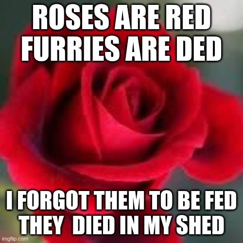 roses are red | ROSES ARE RED
FURRIES ARE DED; I FORGOT THEM TO BE FED
THEY  DIED IN MY SHED | image tagged in roses are red | made w/ Imgflip meme maker