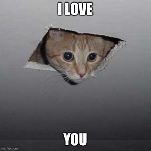 Ceiling Cat Meme | I LOVE YOU | image tagged in memes,ceiling cat | made w/ Imgflip meme maker