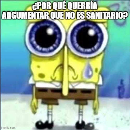 Sad Spongebob | ¿POR QUÉ QUERRÍA ARGUMENTAR QUE NO ES SANITARIO? | image tagged in sad spongebob | made w/ Imgflip meme maker