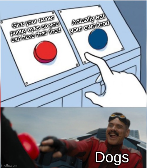 dogs | Actually eat your own food; Give your owner puppy eyes so you can have their food; Dogs | image tagged in robotnik pressing red button,dogs | made w/ Imgflip meme maker