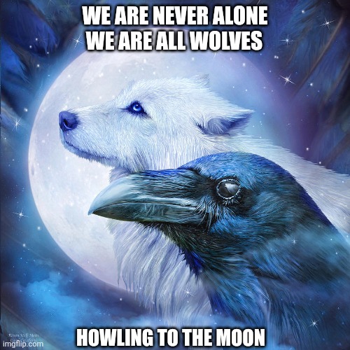 Wolf and raven | WE ARE NEVER ALONE; WE ARE ALL WOLVES; HOWLING TO THE MOON | image tagged in change my mind | made w/ Imgflip meme maker