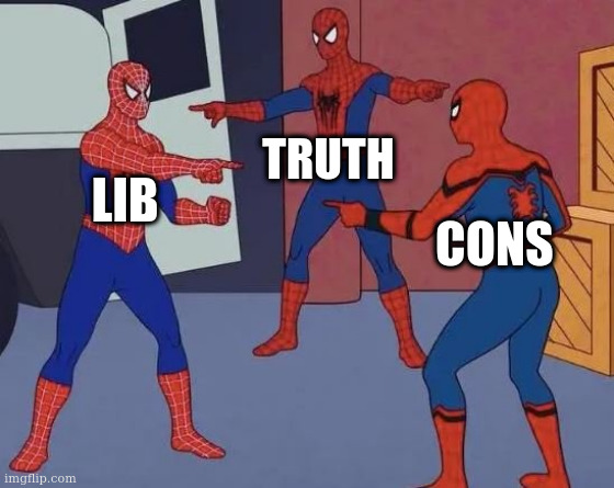 problems | TRUTH; LIB; CONS | image tagged in 3 spiderman pointing | made w/ Imgflip meme maker