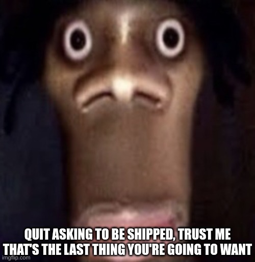 also nobody is fit for you because you get no bitches | QUIT ASKING TO BE SHIPPED, TRUST ME THAT'S THE LAST THING YOU'RE GOING TO WANT | image tagged in quandale dingle | made w/ Imgflip meme maker