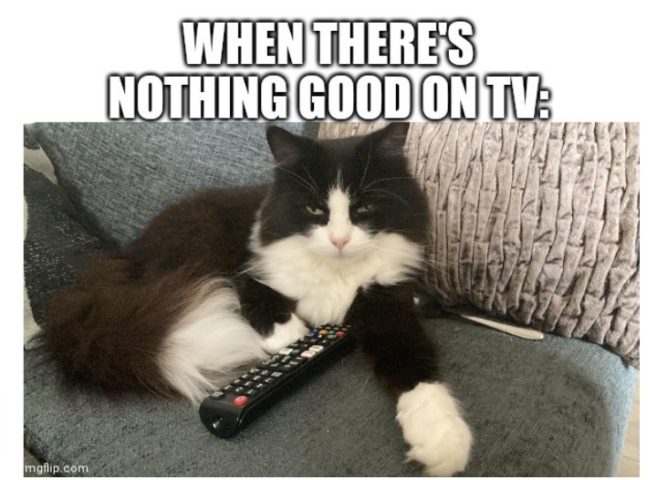 TV CAT Blank Meme Template